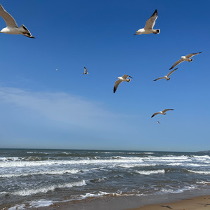 总有一天你会出现在我身边