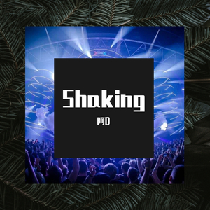 Shaking (Original Mix)