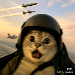 【奔波儿灞的咸鱼之歌】