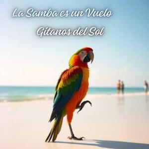 Navegamos con la Samba