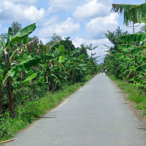 Gio Heo May (Original)