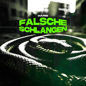 Falsche Schlangen