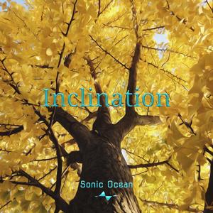 Inclination