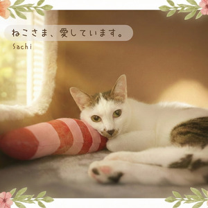 ねこさま、愛しています。