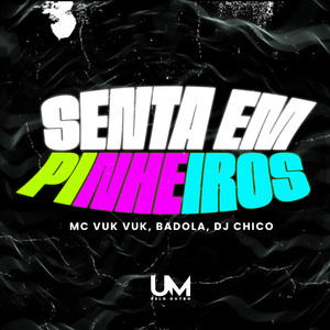 SENTA EM PINHEIROS