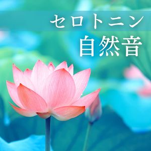 鳥たちの朝の歌声