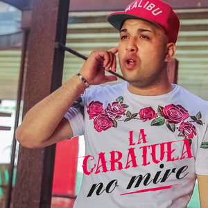 La Gatita Plenera
