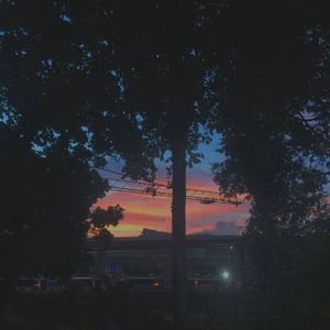 林雅悸小姐我想要两颗西柚