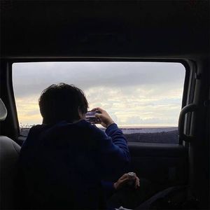 森林晨雾