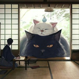 你喜欢她不喜欢你