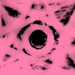 tick