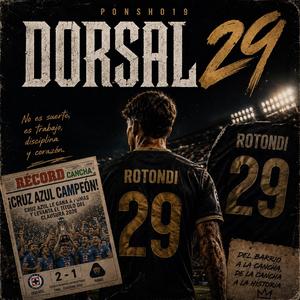 Dorsal 29