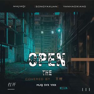 OPEN打开