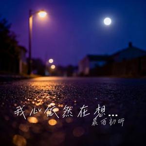 我心依然在想你