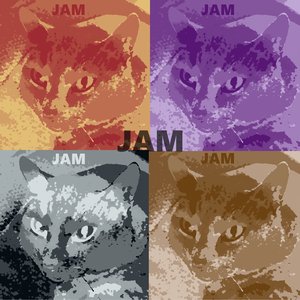 JAM8