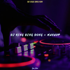 RING DING DONG × MASHUP (Remix)