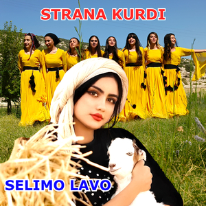 Selimo Lavo QîzikaTaxê Çiqas Rind î
