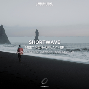 Meet Me Halfway (Extended Mix)