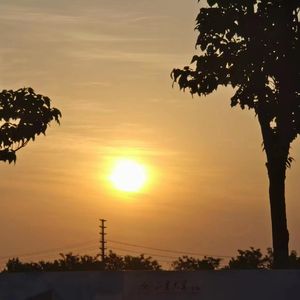 暮鼓（Feat.张天歌，国显烨）