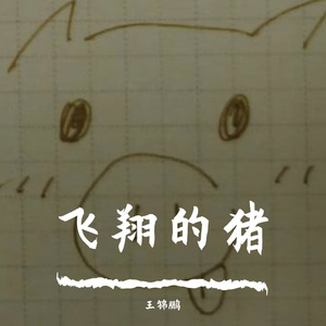 飞翔的猪