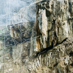 Crumpets And Sauvignon