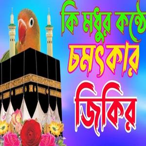 ভারত বাংলা বিখ্যাত চমৎকার জিকির। মন জুড়ানো জিকির। best Bangla Zakir