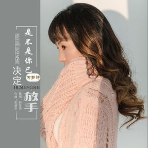 是不是你已决定放手 伴奏