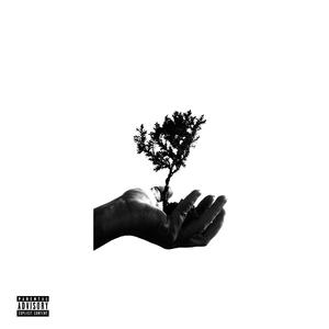 HateShxt (with Geakdd)