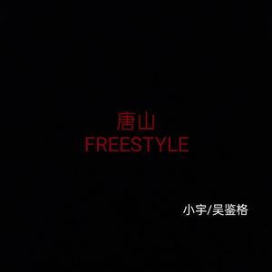 唐山FREESTYLE