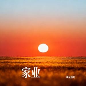 家业