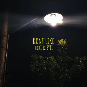 don't like (feat. eyji)