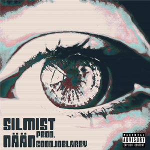 Silmist nään