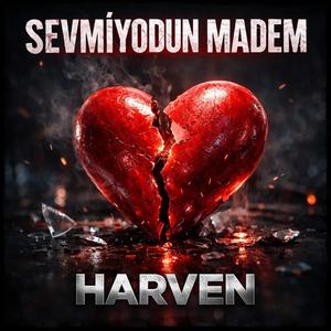 SEVMİYORDUN MADEM