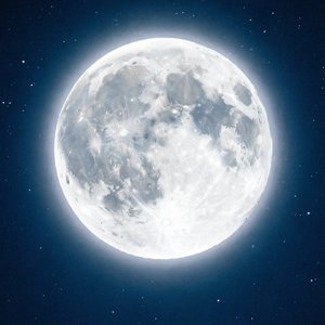 愁中愁.疯人歌