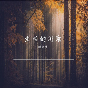 生活的诗意