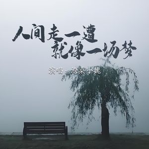 人间走一遭就像一场梦