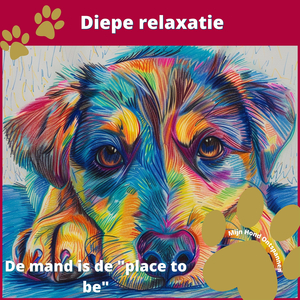 Hondje ontspanning