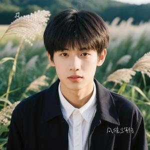 风催少年归 (Remix)