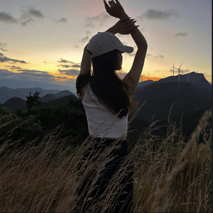 威尔士-你回来就好了（威尔士 remix）