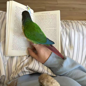 一辈子很短 我愿意和你将错就错