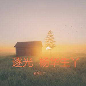 逐光