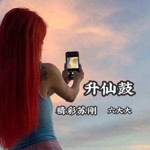 苏伟豪Okey-苏伟苏伟A弹（原乡鼓）（精彩苏刚 remix）