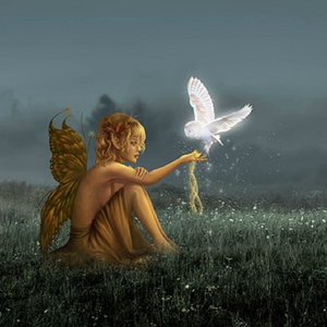 涨潮（静心轻音）