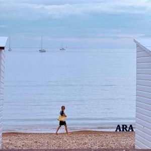 The Chase (feat. Arben)