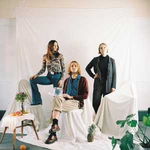 Dream Time Dolphin Tape