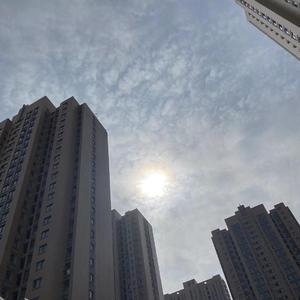 撕碎吧2020（翻自 姜云升）