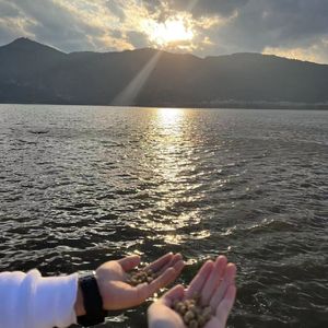 22年的新年礼物