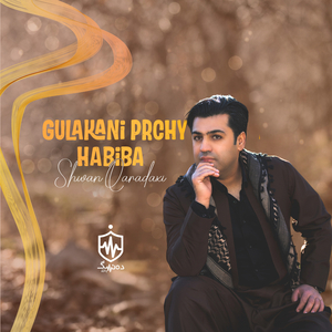 Bazi Beriyan (Cover)