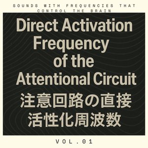 Direct Activation Frequency of the Attentional Circuit 注意回路の直接活性化周波数 N16 Vol