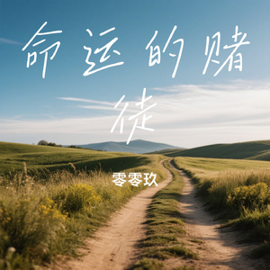 命运的赌徒